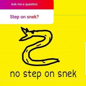 Meet your Posher, Erick